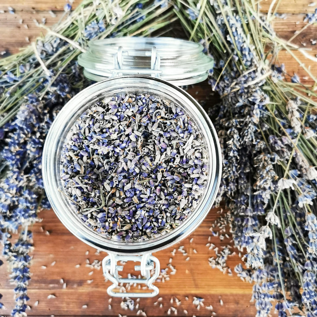 Lavendelblüten bringen Duft des Südens nach Hause