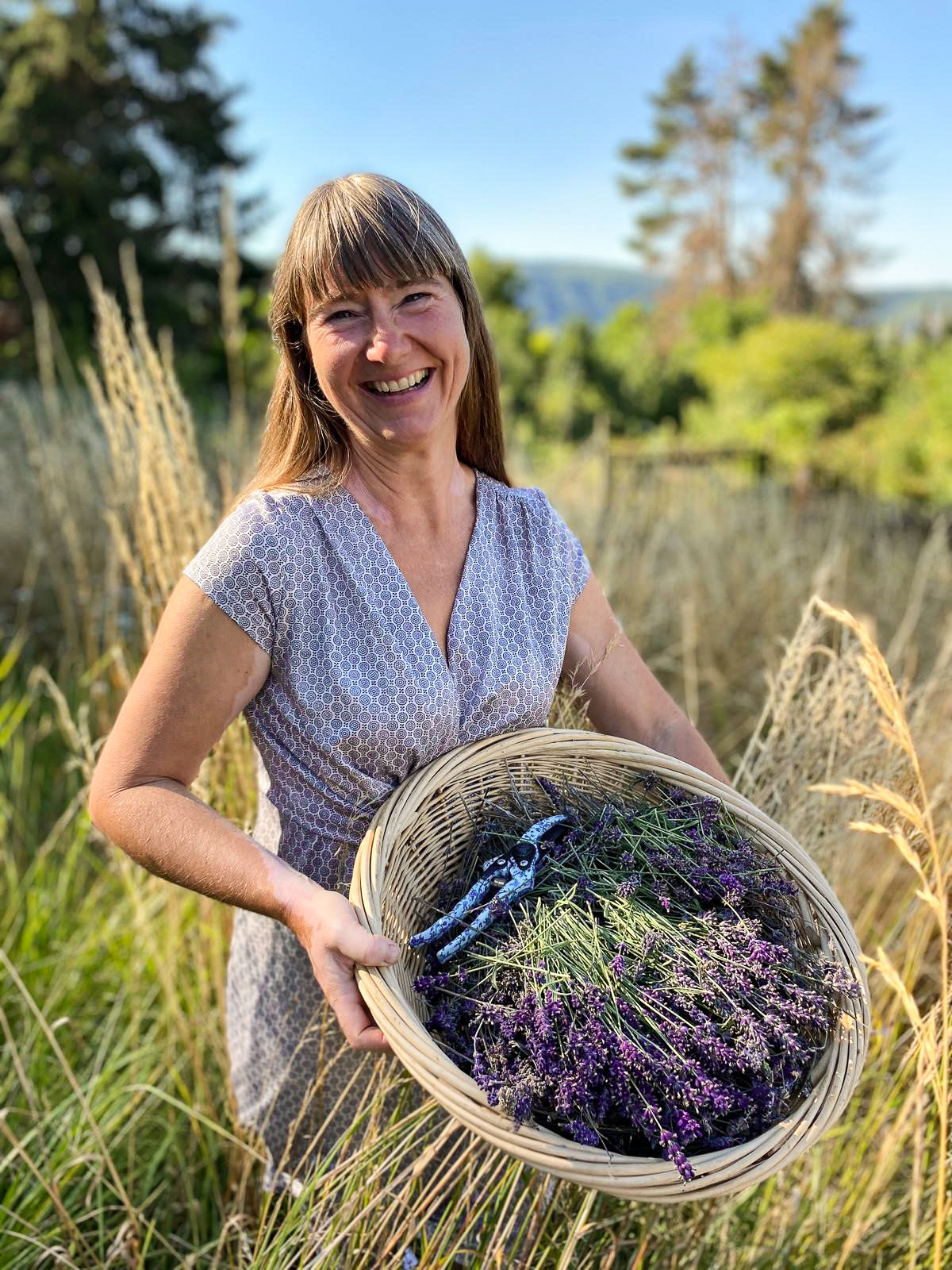 Lavendel -Der Duft des sonnigen Südens