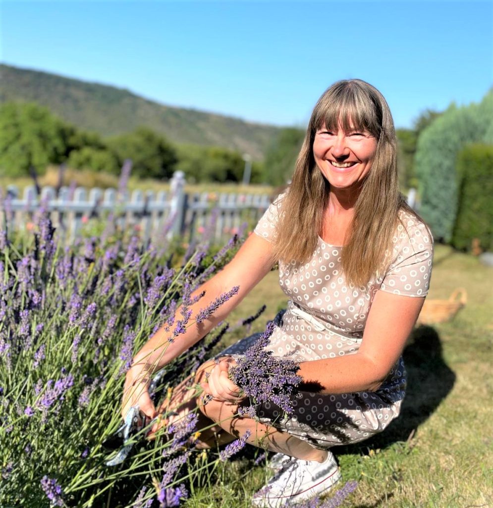 Lavendel im Rheinland
