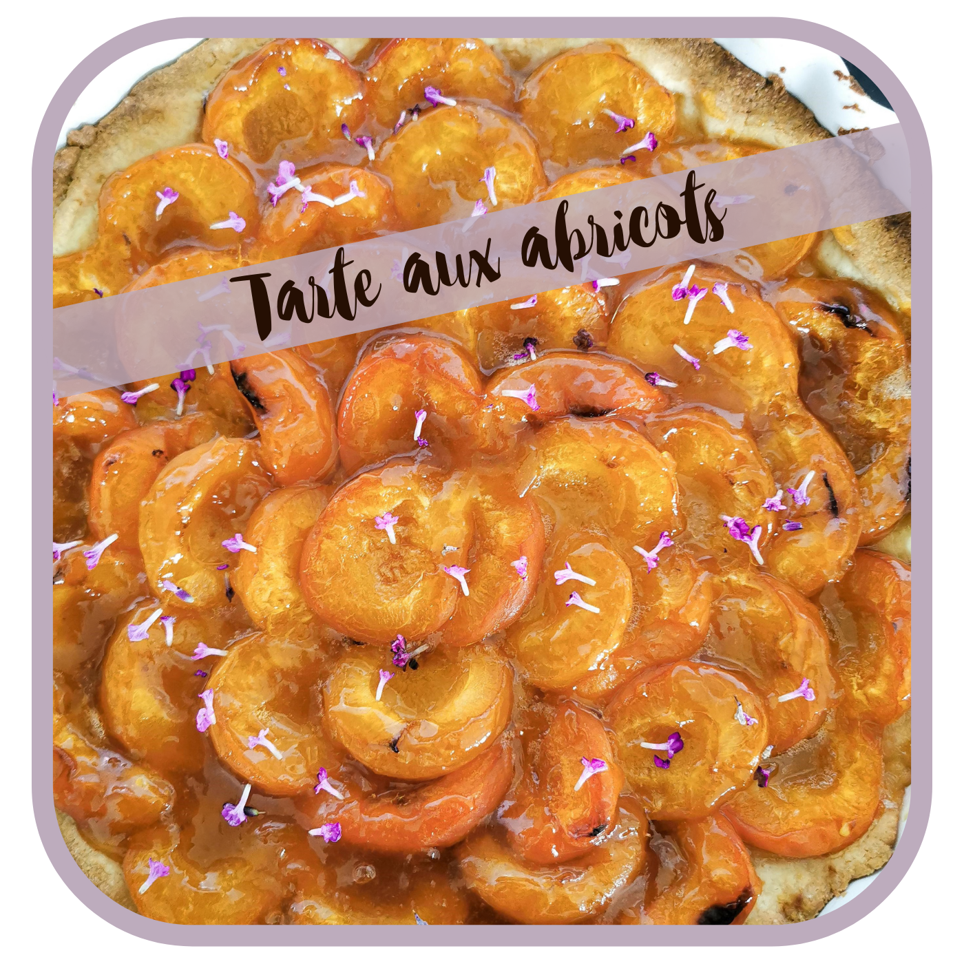 Tarte aux abricots